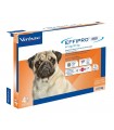 Effipro duo cane spot-on 67 mg 2-10 kg 4 pipette