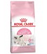 Royal canin gatto mother and babycat 2 kg