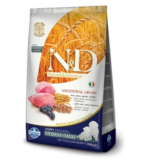 Farmina n&d ancestral grain cane puppy medio maxi farro avena agnello e mirtillo 12 kg