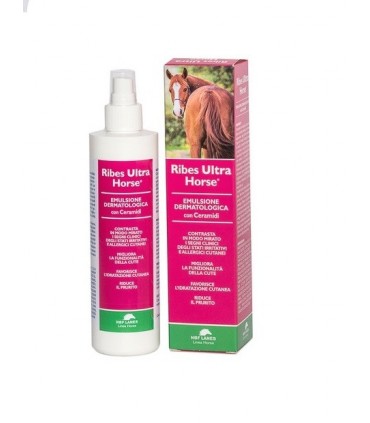 TRATTAMENTI E NUTRIZIONE CAVALLI Speed Horse Care GLOSS-SPRAY 500ML-  Prodotto districante lucidante cocco - Private Sport Shop