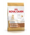 Royal canin labrador junior 12 kg