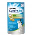 Purina dentalife gatto salmone 40 gr