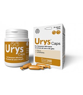 Innovet urys caps 30 capsule birillo