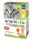 Petformance enerbiotic gatto 4 buste da 60 ml