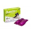 Candioli duecto spot on 4 pipette 10 - 20 kg