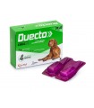 Candioli duecto spot on 4 pipette 20 - 40 kg