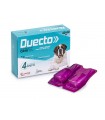 Candioli duecto spot on 4 pipette 40 - 60 kg