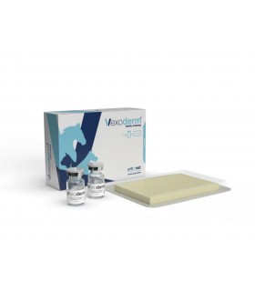 Vexoderm sterile dressing 10 X 7 cm