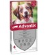 Advantix Spot On 6 pipetta per cani da 10 a 25 kg