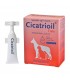 Bensel Pet cicatrioil 5 fiale 5 ml