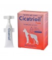 Bensel Pet cicatrioil 5 fiale 5 ml