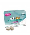 Buona Pet articolina forte 60 compresse