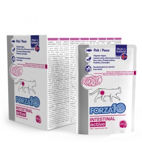 Forza 10 gatto intestinal actiwet pesce 100 gr