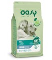 Oasy cane adult large agnello 3 kg