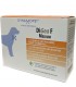 Dynamopet DiGea F Medium 20 Bustine 4 Gr