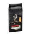 Purina proplan puppy medium healthy start pollo 12 kg