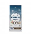 Forza 10 cane mono diet adult medium agnello 12 kg