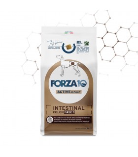 Forza 10 cane intestinal colon Fase-1 4 kg