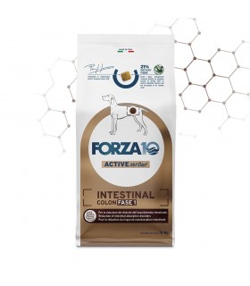 Forza 10 cane intestinal colon Fase-1 10 kg