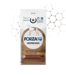 Forza 10 cane intestinal colon Fase-2 10 kg