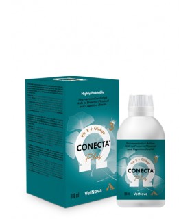 VetNova conecta plus 180 ml