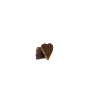 Forza 10 cane mono snack sensitive adult agnello 80 gr