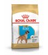 Royal canin boxer puppy 12 kg