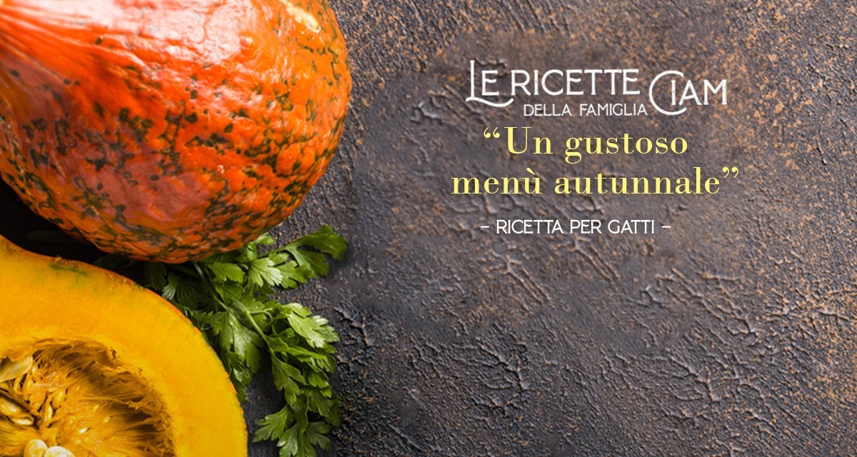 Menù Autunnale per Gatti - Le Ricette della Famiglia Ciam