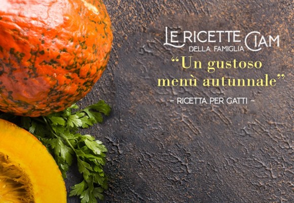 Menù Autunnale per Gatti - Le Ricette della Famiglia Ciam