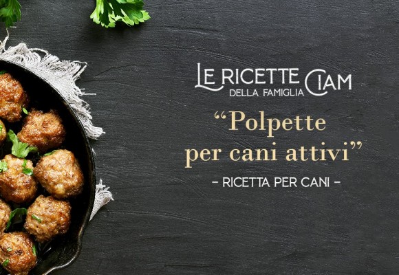 Polpette per Cani Attivi - Le Ricette della Famiglia Ciam