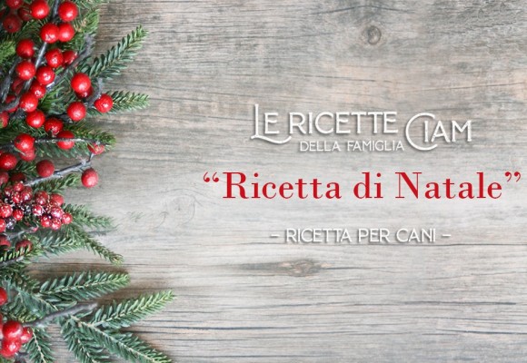 Ricetta di Natale - Le Ricette della Famiglia Ciam