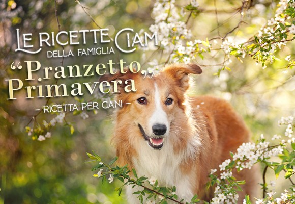 Pranzetto Primavera – Le Ricette della Famiglia Ciam